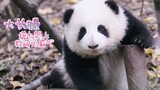 【大熊猫和花】花花老师教你学拍照，进来学习！！！
