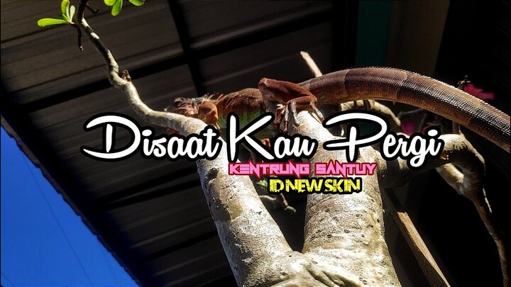 DJ SLOW - Mungkin Kau Bukan Cinta Sejatiku (Disaat Aku Pergi) by ID NEW SKIN - BAPER ❤