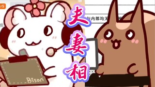 【Bison仓鼠】夫妻相