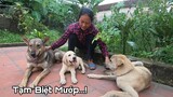 Xúc Động Giây Phút Chia Tay Mướp về với Ẩm Thực Mẹ Làm | Good Bye My Puppy