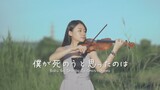 中島美嘉「曾經我也想過一了百了 / 僕が死のうと思ったのは」小提琴演奏 - 黃品舒 Kathie Violin cover