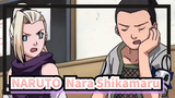 [NARUTO] [Nara Shikamaru Cut] Tổng hợp các cảnh Nara Shikamaru trong Mùa 1Cập nhật chậm_E