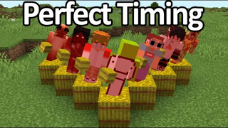 Perfect Timing Minecraft Moments 12 (เมื่อเวลาสมบูรณ์แบบ)