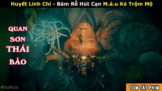 [Review Phim] Nấm Linh Chi Cổ Mộ -1 Miếng Đáng Giá Ngàn Vàng | Quan Sơn Thái Bảo | ma Thổi Đèn iQiyi