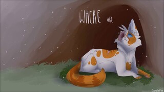 Warrior Cat PMV MAP | Faded