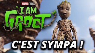 Critique - I AM GROOT : super mignon et très beau mais pas nécessairement utile.