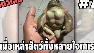 รวมคลิปตลกๆ : นี่มันกบหรือซุปเปอร์เเมน!!