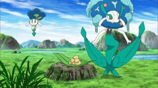 Pokemon xyz session 19 episode 30 hindi dubbed (full episode)