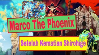 Beginilah Kehidupan Marco The Phoenix Setelah Kematian Shirohige One Piece