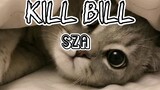 KILL BILL (LYRICS) SZA