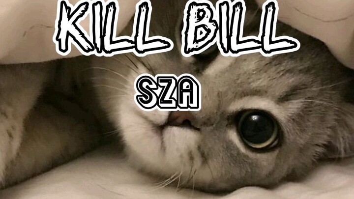 KILL BILL (LYRICS) SZA