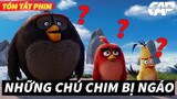REVIEW PHIM : NHỮNG CHÚ CHIM GIẬN DỮ - PHẦN 1 ( The Angry Birds Movie 1 ) || CAP REVIEW