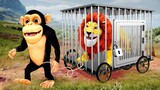 Temple Run Funny Monkey Run Away Zombie Lion Escape Maze Game | Cow vs Lion Trapped in Cage