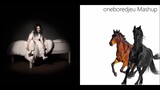 Old Crown Road - Billie Eilish vs. Lil Nas X feat. Billy Ray Cyrus (Mashup)