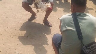 gulang Naka laban panalo parin