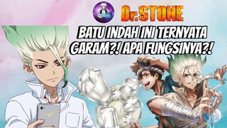 Batu ini Ternyata Garam?! Apa Fungsinya?!