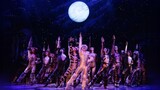 CATS The Musical - North American US Tour 6 Non-Equity (2022) Trailer [HD]