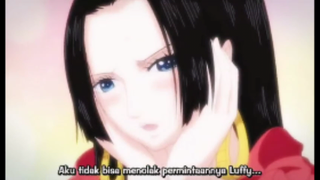 Awal mula Hancock Jatuh Cinta kepada Luffy💌