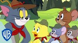 Tom y Jerry en Latino | De campamento con Tom | WB Kids
