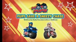 Paw patrol Musim 7 Episode 24 original mix Opening theme song Bahasa Indonesia