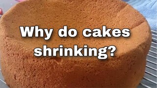 The reason behind shrinking cake | mga dahilan Kung Bakit bumabagsak ang sponge cake .