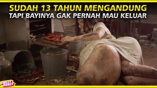 Hamil Anak Setan Selama 13 Tahun - Pregnant Horror