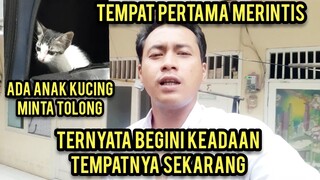 Mengenang Tempat Cats Lovers Tv Dulu Pernah Di Usir Malah Dapat Anak Kucing Sedang Minta Tolong..!