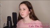 Grizabella The Glamour Cat - Cats The Musical