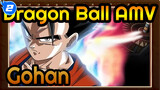 [Dragon Ball AMV] Gohan: Protect Something More Valuable Than Life_2