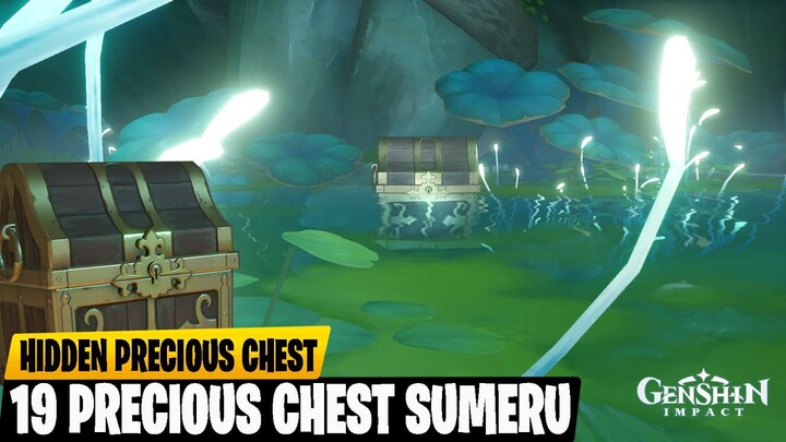 Bused Tempatnya Tersembunyi - PRECIOUS CHEST Sumeru - Genshin Impact