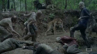 The Walking Dead - Tiger vs Zombies