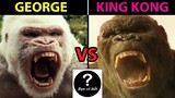 KING KONG vs GEORGE, con nào sẽ thắng #87 |Bạn Có Biết?