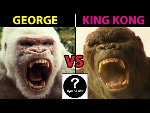 KING KONG vs GEORGE, con nào sẽ thắng #87 |Bạn Có Biết?