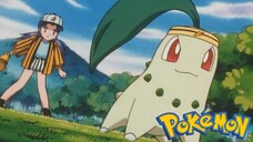 Pokémon Tập 120: Chicorita Của Rookie! (Lồng Tiếng)