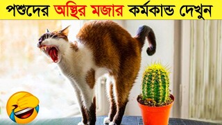 পশুদের মজার কর্মকান্ড ক্যামেরায় ধরা পড়া | Funny Animals Video 2023 (Part-15) | mayajaal.