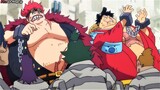 What is Kaido's purpose in putting these two vandals in jail  || ONE PIECE