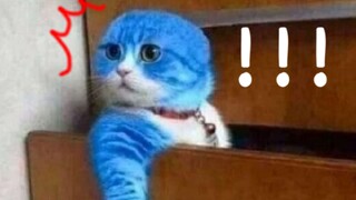 哆啦a梦：大雄…快！快用二向箔！