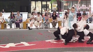 11 người đã cổ vũ cho sinh nhật của Kwon Soonyoung và tái hiện lại Tiger 1:1｜Hãy giới thiệu video nà