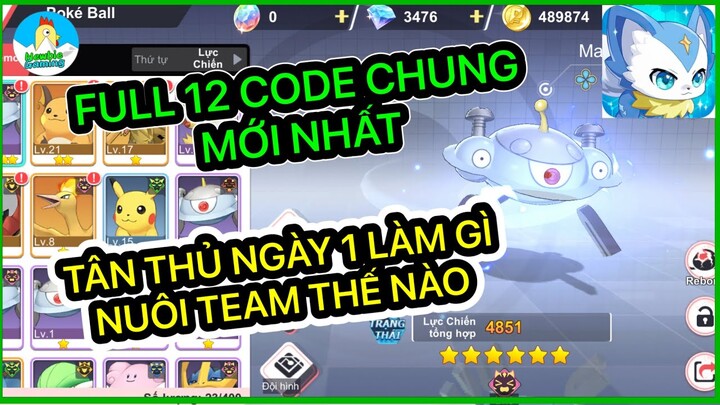 Mega Đại Chiến: Full 12 code chung và Code riêng - Hướng dẫn Tân thủ ngày 1 chơi thế nào, team gì.