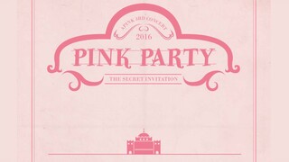 Apink - 3rd Concert 'Pink Party' 'Making Of'