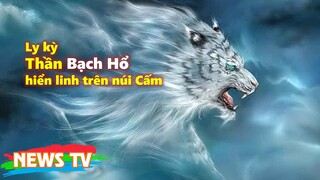 Chuyện thần Bạch Hổ hiển linh trên núi Cấm