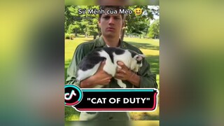 "Vũ Khí" nảy chạy nhanh hơn người hahaha 😆fyp funny hài vuinhon cat chómèohàihước thúcưng pet