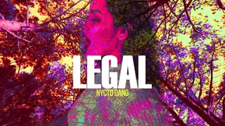 Nycto Gang - LEGAL