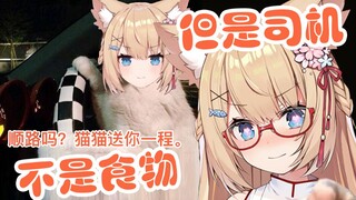 【四分钟看猫猫】猫不能吃，但是能当司机