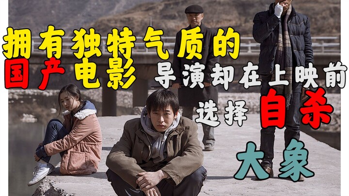 大象背后经历了什么？获奖后又消失的电影！