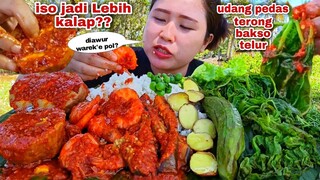 BIKIN LAPER⁉️ UDANG TERONG BAKSO TELUR LALAPAN JENGKOL MENTAH LEUNCA REBUSAN DAUN PEPAYA GAMBAS