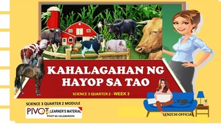 SCIENCE 3 | KAHALAGAHAN NG HAYOP SA TAO| QUARTER 2 -WEEK 3 | MELC BASED -PIVOT