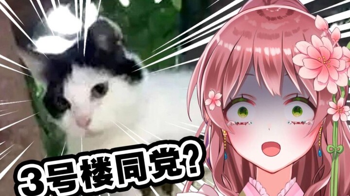 Nhật Bản Loli Maid Watch "Ngày đó con người cuối cùng cũng nhớ ra nỗi sợ bị mèo thống trị"
