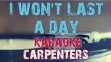 I WON'T LAST A DAY - CARPENTERS (KARAOKE VERSION)