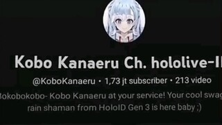 vtuber indonesia ramah² ya🗿🗿✌️